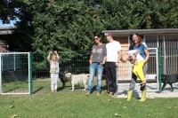 /album/galleria-fotografica/a006-jpg2/